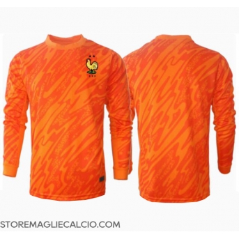Francia Portiere Maglia Gara Trasferta Repliche Europei 2024 Maniche Lunghe